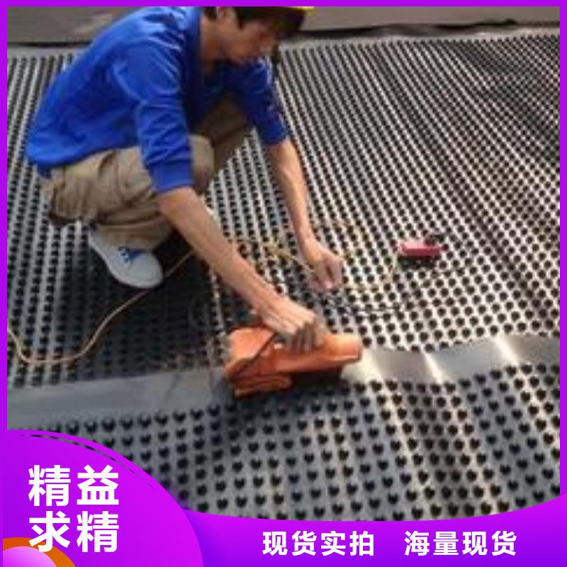 塑料排水板三维土工网垫专心专注专业