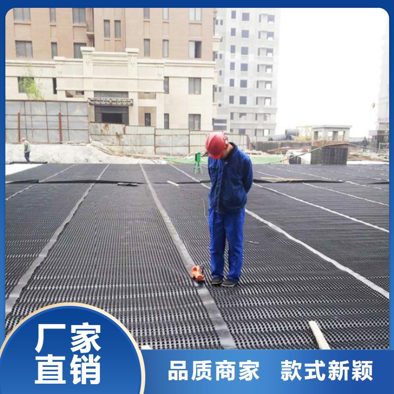 塑料排水板【三维水土保护毯】长期供应