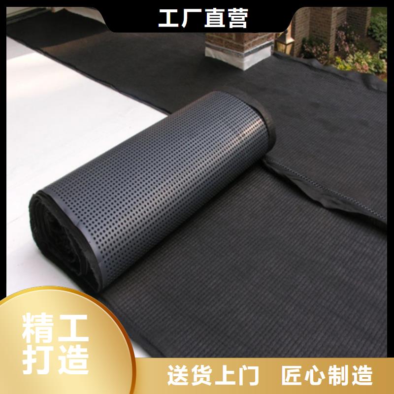 塑料排水板-双向塑料土工格栅源头厂家直销