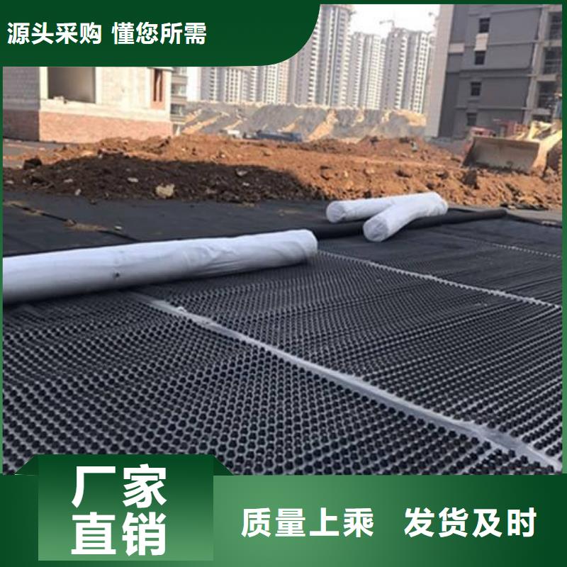 塑料排水板土工席垫厂家案例