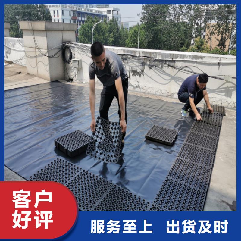 塑料排水板【三维水土保护毯】长期供应