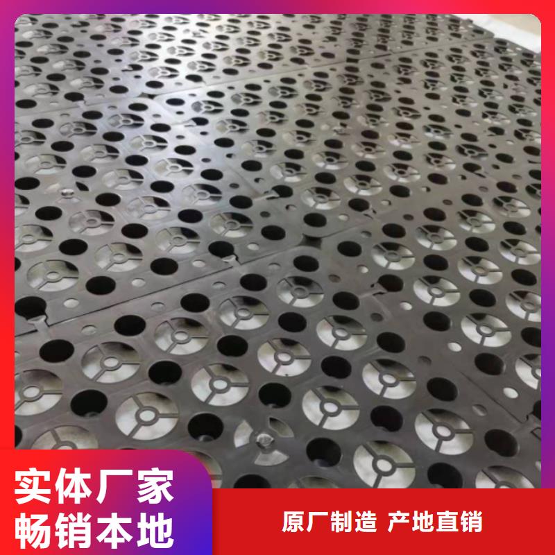 【塑料排水板HDPE土工膜实力厂家直销】