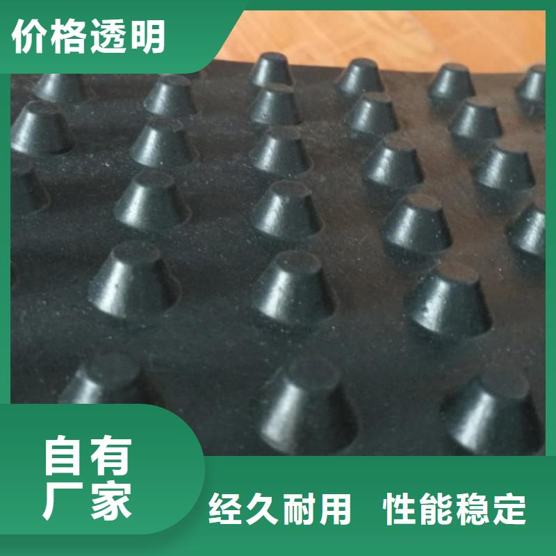 【塑料排水板土工席垫无中间商厂家直销】