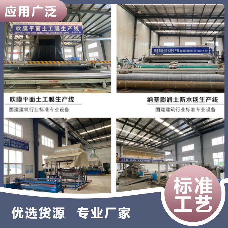 防水毯钢塑土工格栅厂家品质过硬