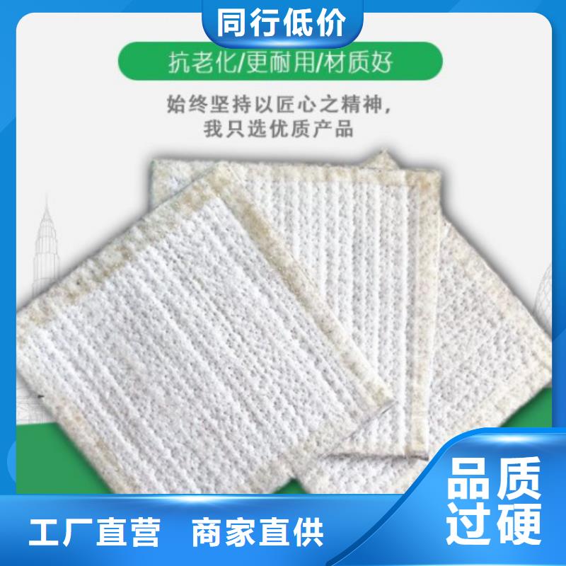 防水毯钢塑土工格栅厂家品质过硬