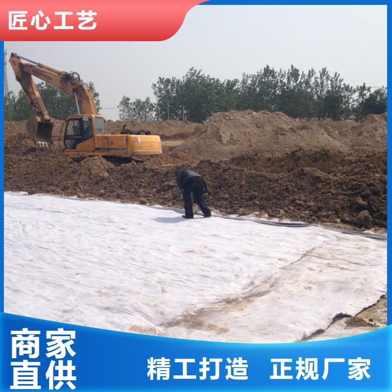 防水毯钢塑土工格栅厂家品质过硬