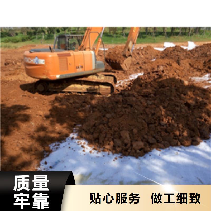 防水毯钢塑土工格栅厂家专注品质