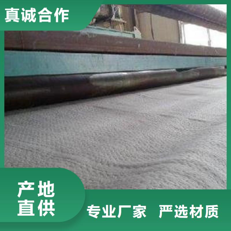 防水毯玻璃纤维土工格栅厂家直销
