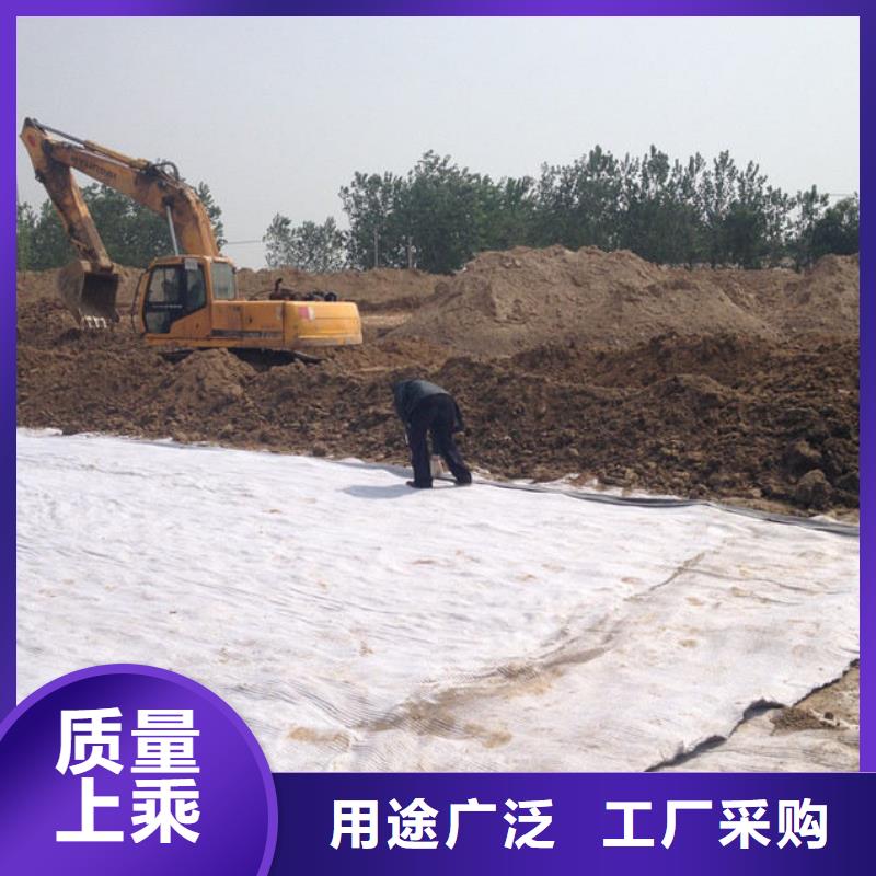 防水毯_钢塑土工格栅厂家品质保证