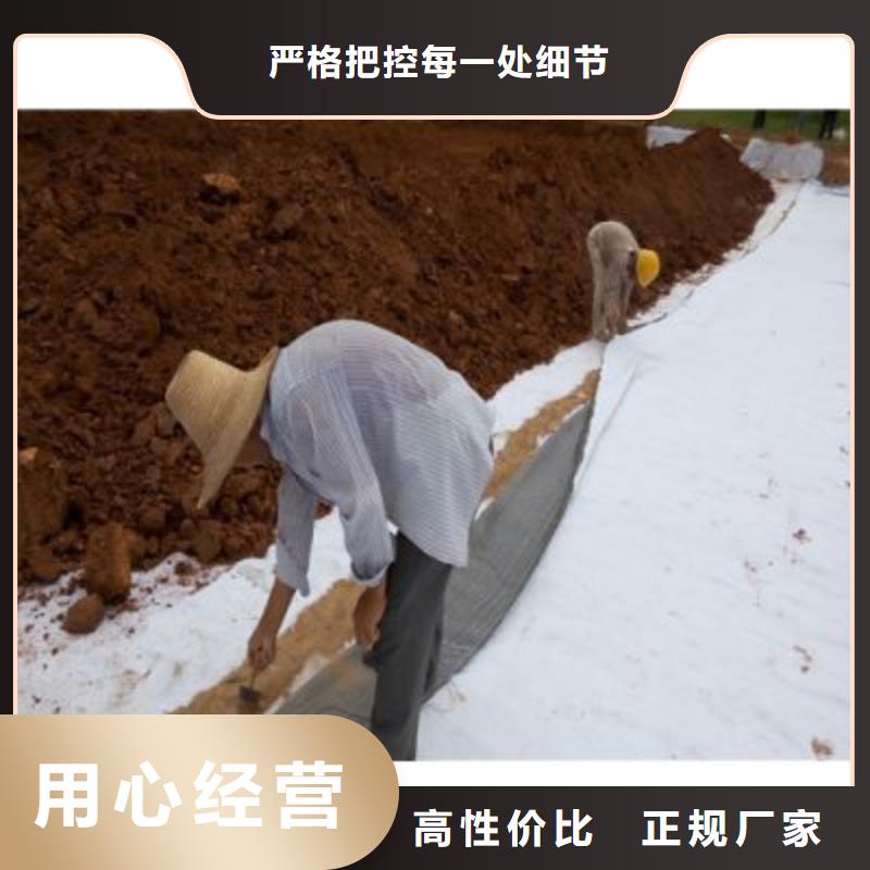 盘锦 当地 防水毯【三维水土保护毯】现货采购
