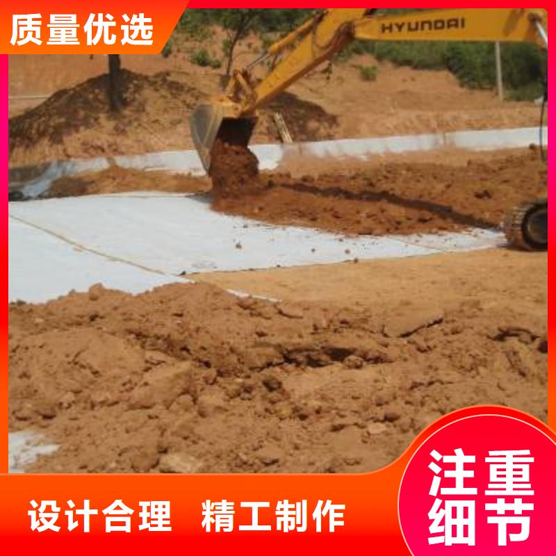 盘锦 当地 防水毯【三维水土保护毯】现货采购