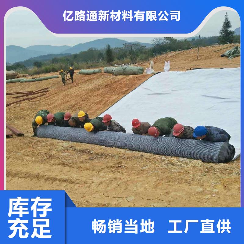 盘锦 当地 防水毯【三维水土保护毯】现货采购