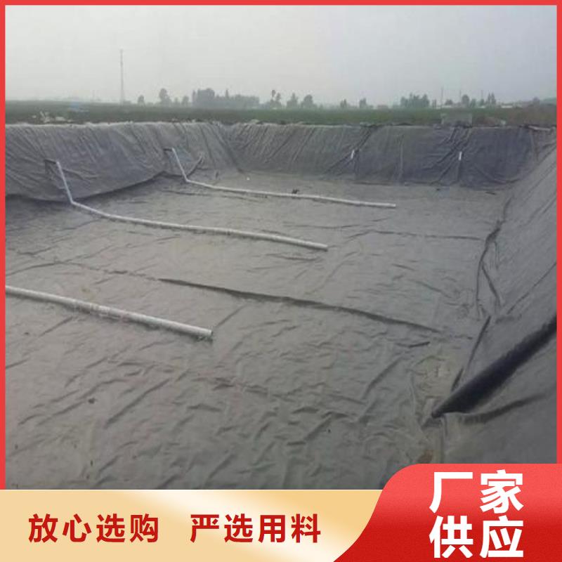 土工膜双向塑料土工格栅快速生产