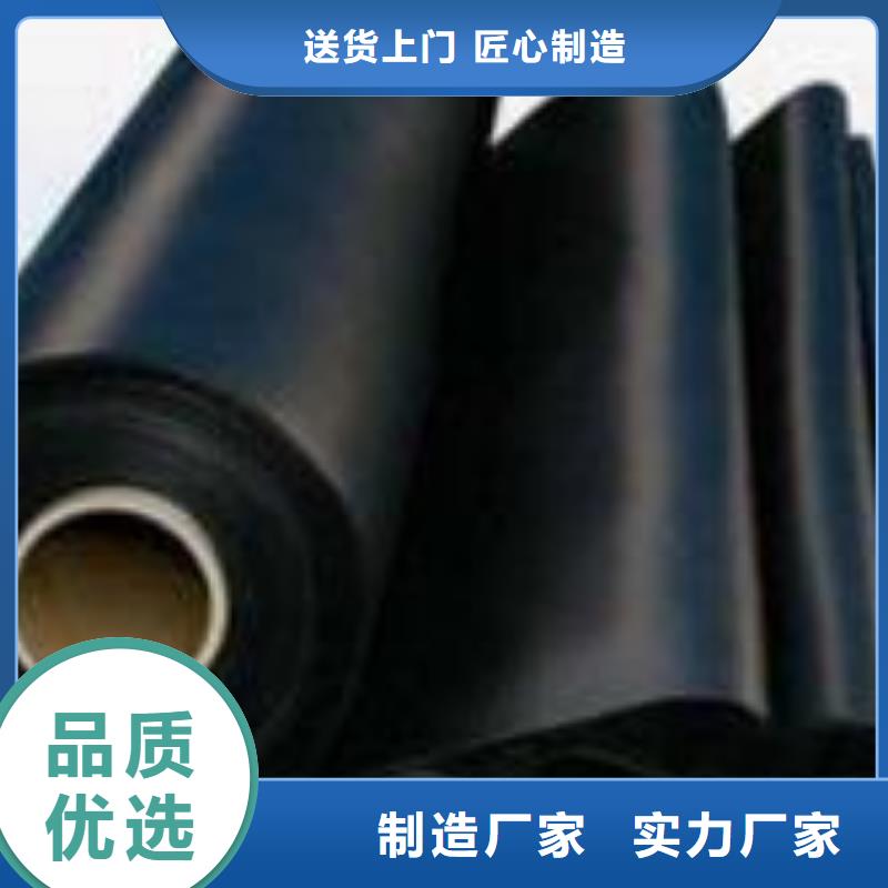 土工膜单向塑料土工格栅批发供应