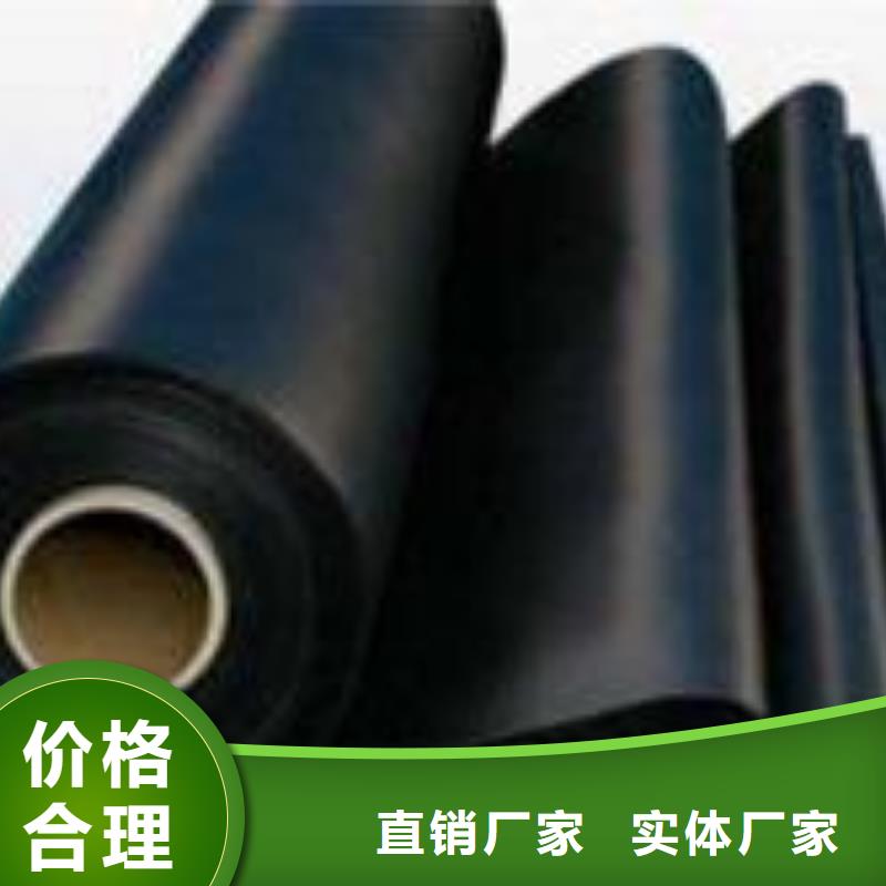 土工膜涤纶土工格栅批发货源