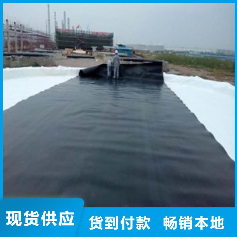 土工膜涤纶土工格栅批发货源
