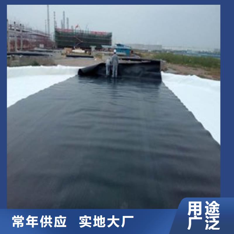 土工膜-凸结点钢塑土工格栅精品优选