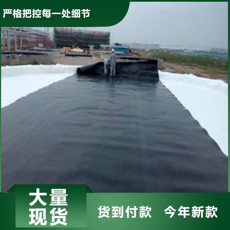 【土工膜-钢塑土工格栅厂家贴心服务】