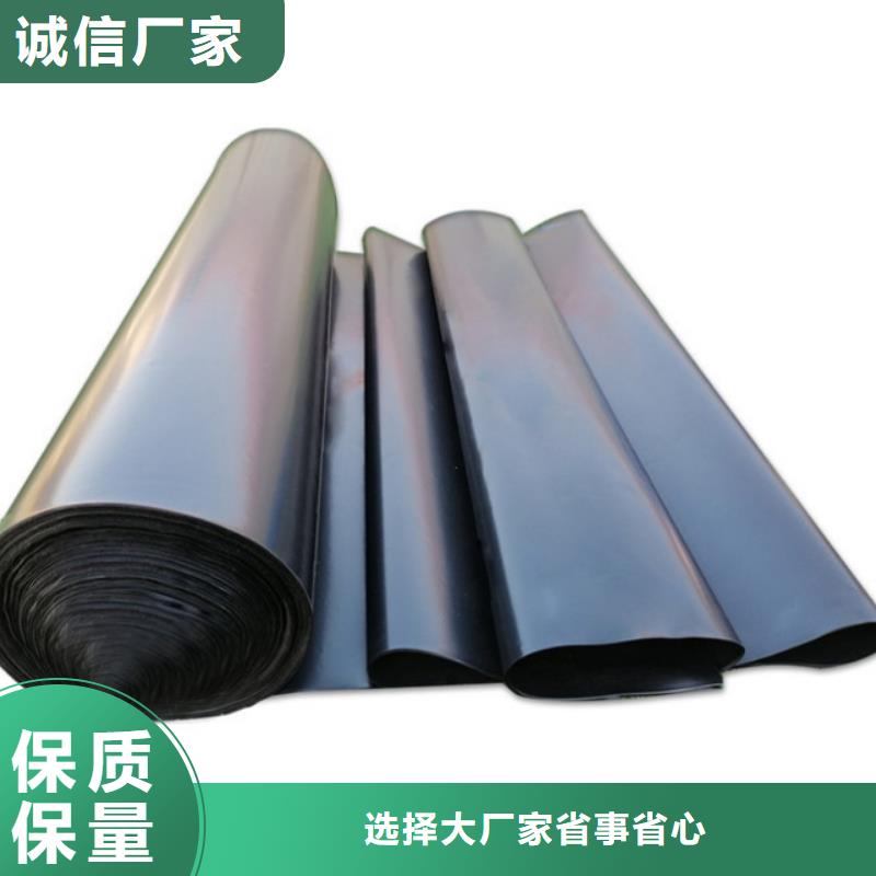 土工膜双向塑料土工格栅快速生产