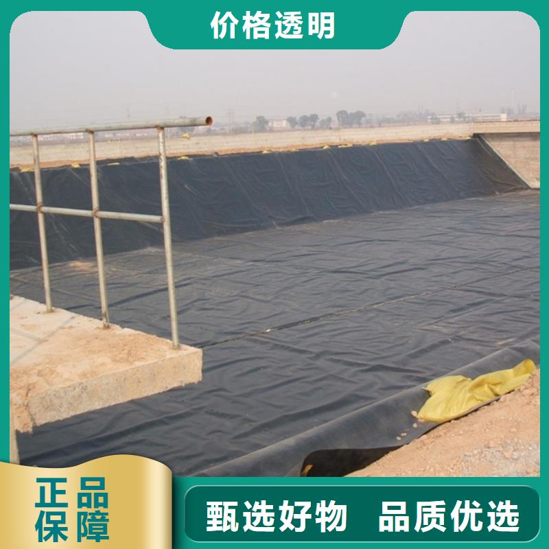 土工膜涤纶土工格栅批发货源