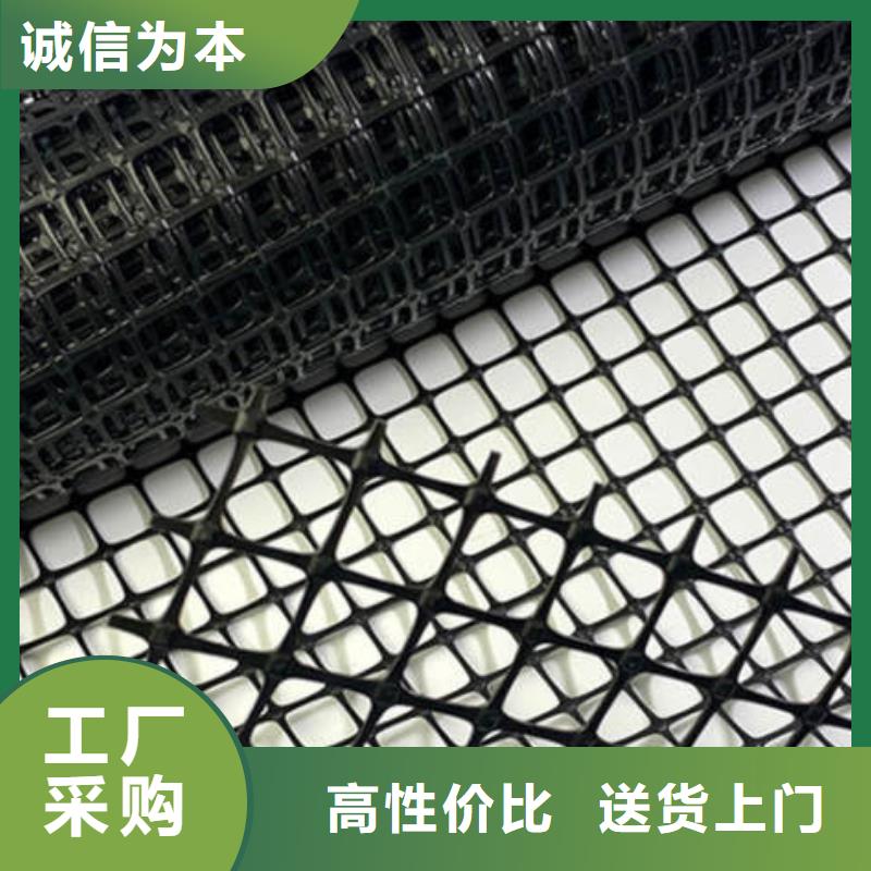 【土工格栅】护坡土工网甄选好厂家