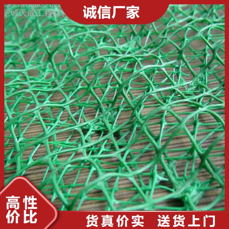 三维植被网,护坡土工网精心选材