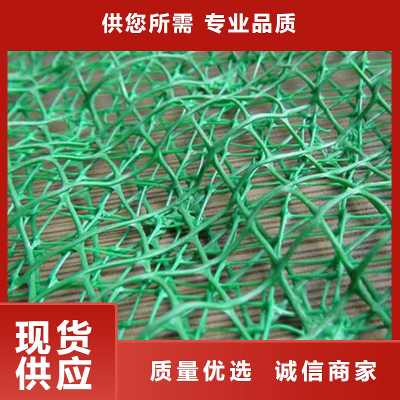三维植被网多向塑料土工格栅实力商家
