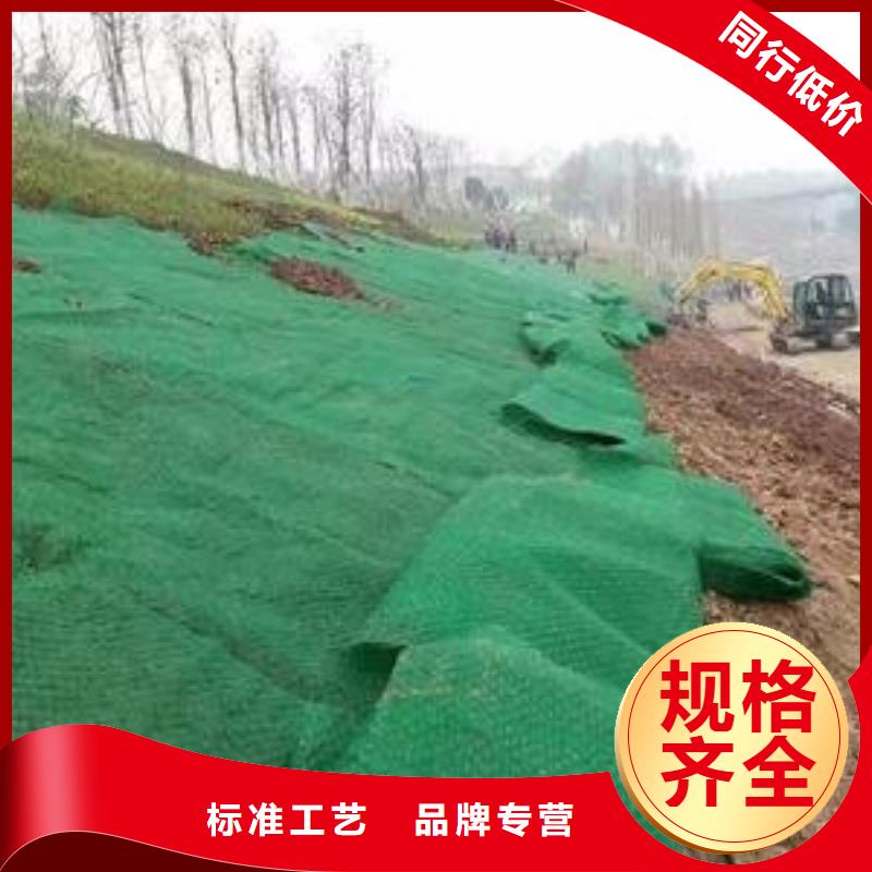 三维植被网,复合土工膜有实力有经验