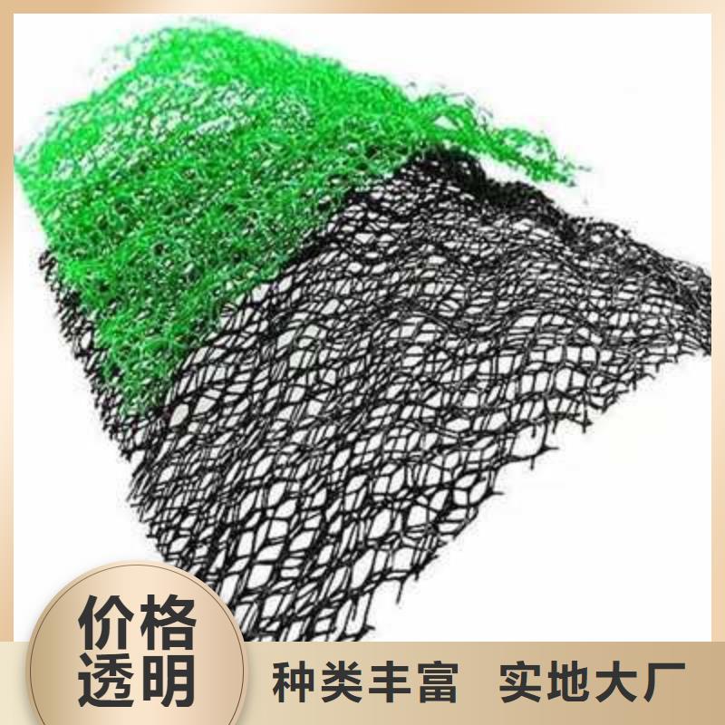 三维植被网多向塑料土工格栅实力商家
