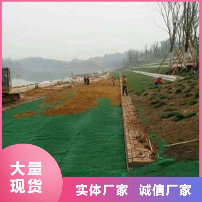 三维植被网涤纶土工格栅制造厂家