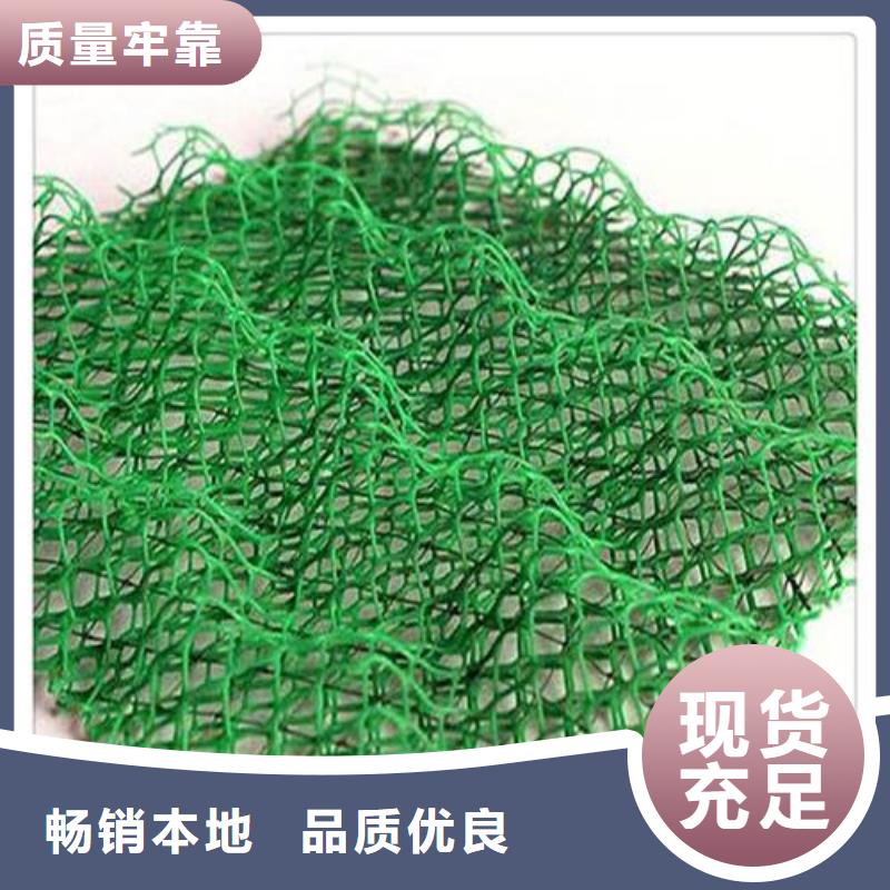 三维植被网,塑料盲沟现货采购