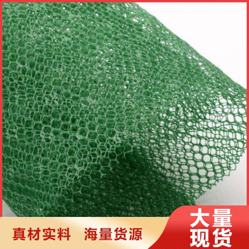 【三维植被网】钢塑土工格栅厂家全新升级品质保障