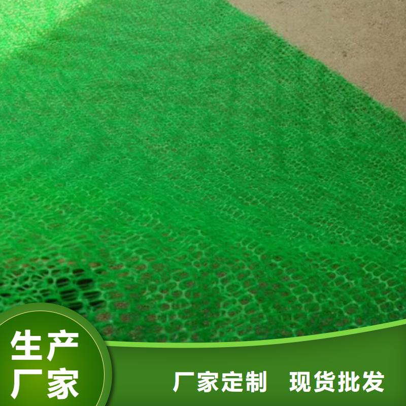 三维植被网【钢塑土工格栅厂家】助您降低采购成本