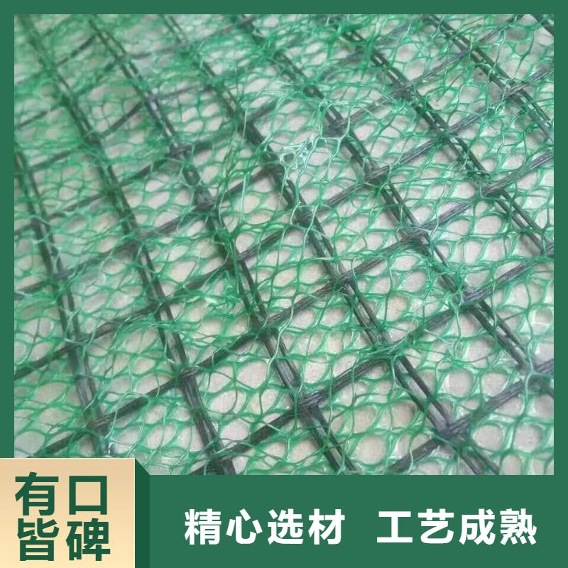 三维植被网玻璃纤维土工格栅厂家
