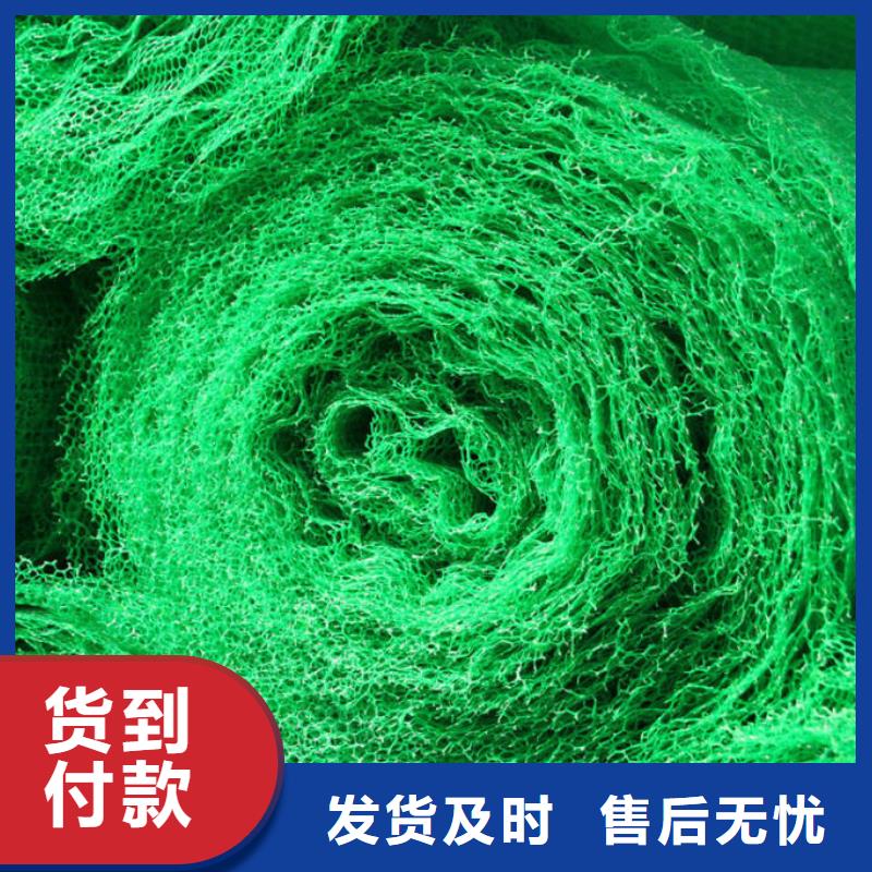三维植被网涤纶土工格栅制造厂家