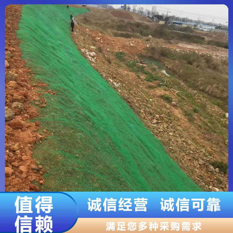 三维植被网,护坡土工网精心选材
