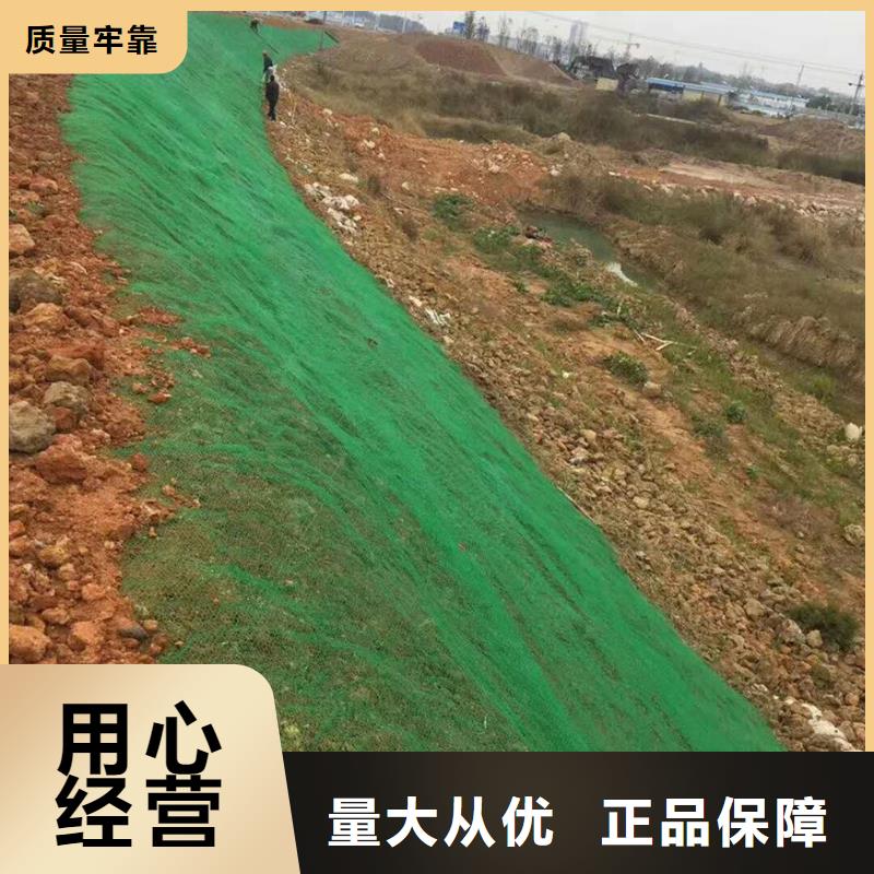 【三维植被网】钢塑土工格栅厂家全新升级品质保障