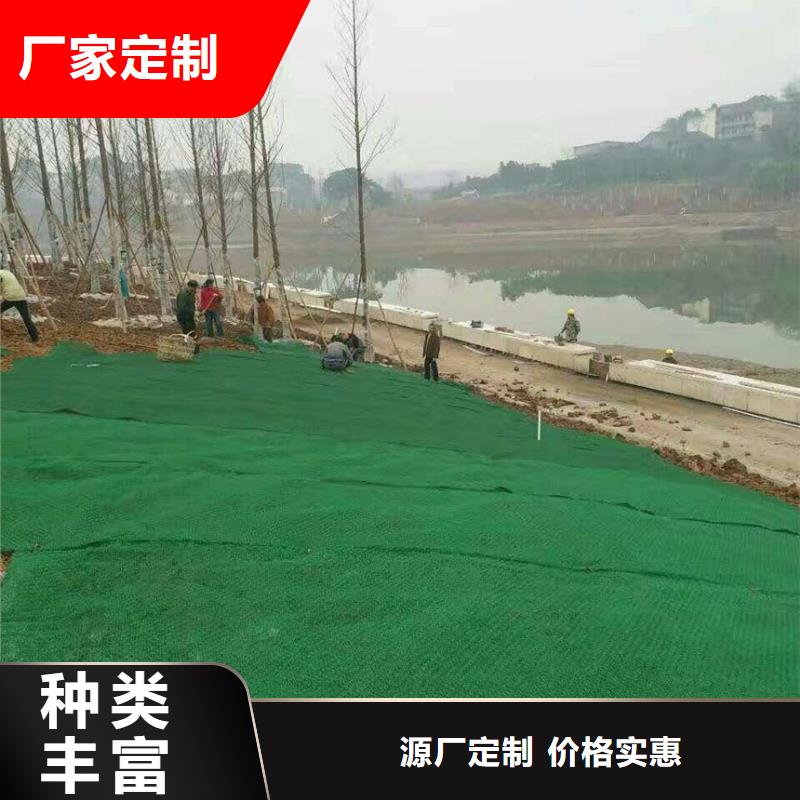 三维植被网玻璃纤维土工格栅厂家