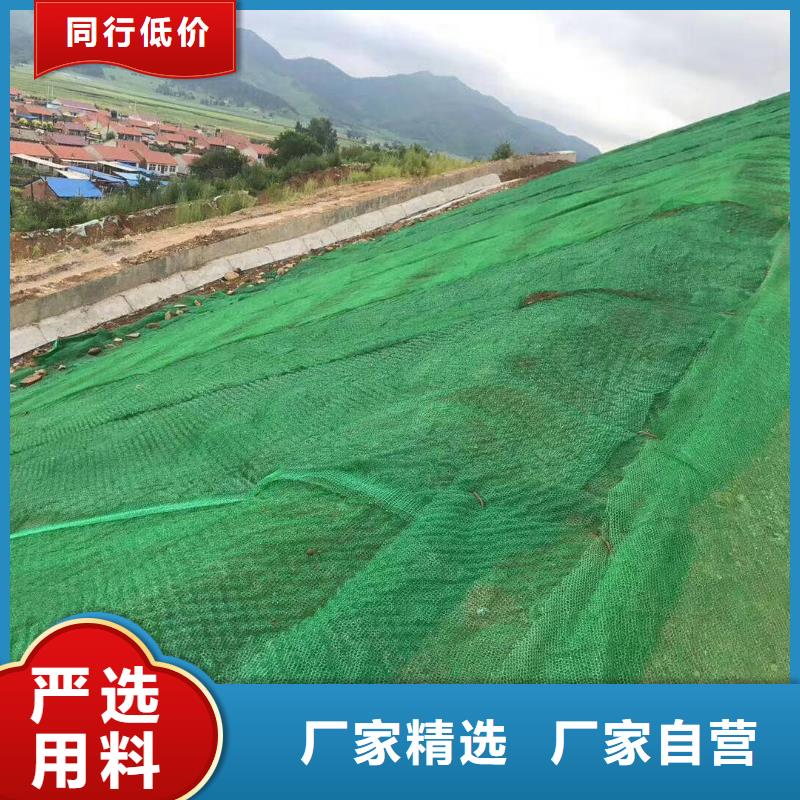 【三维植被网】_玻纤土工格栅专注品质