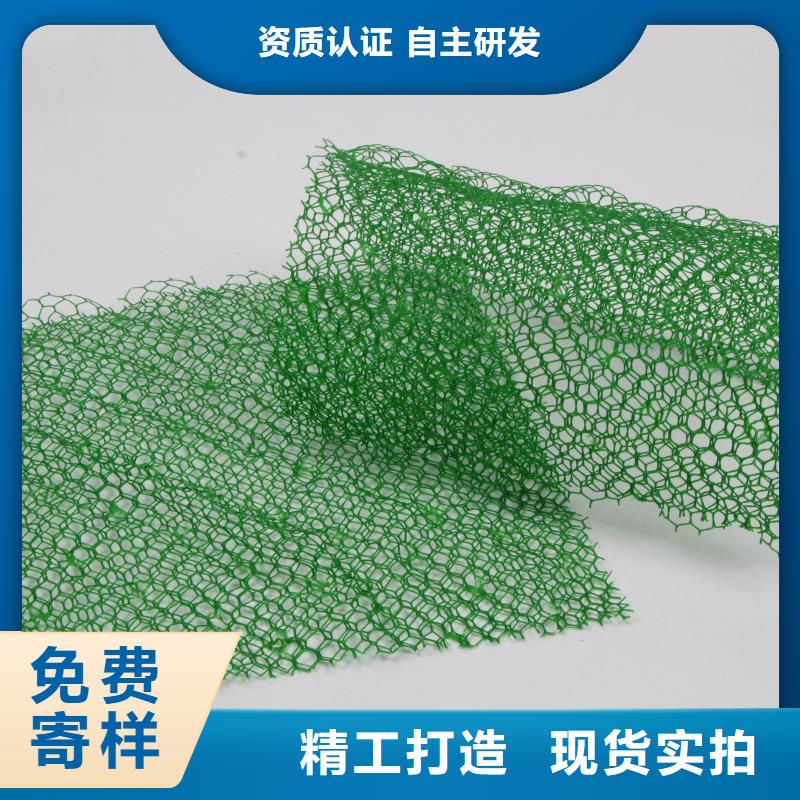三维植被网玻璃纤维土工格栅实体厂家
