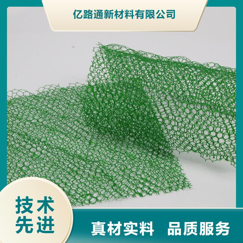三维植被网玻璃纤维土工格栅厂家