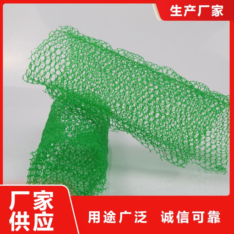 三维植被网,护坡土工网精心选材