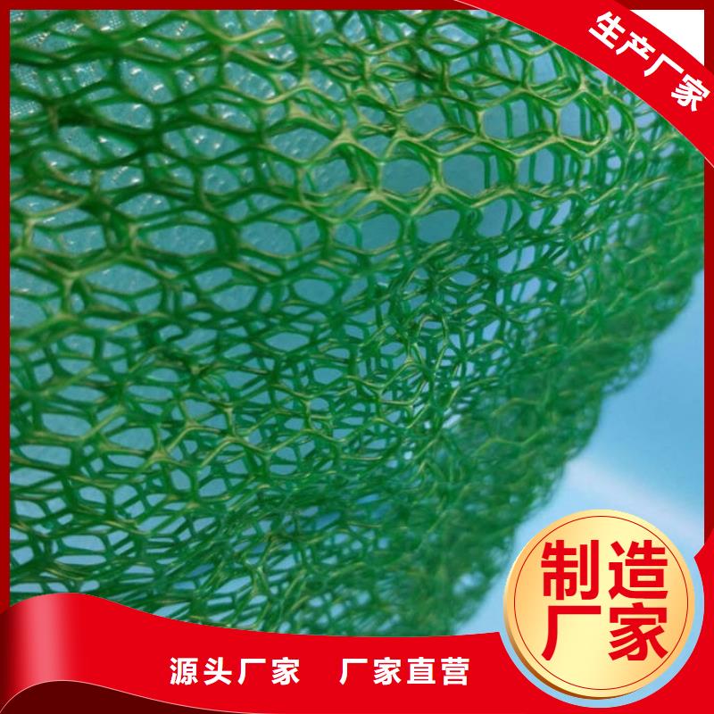 三维植被网,硬式透水管品质不将就