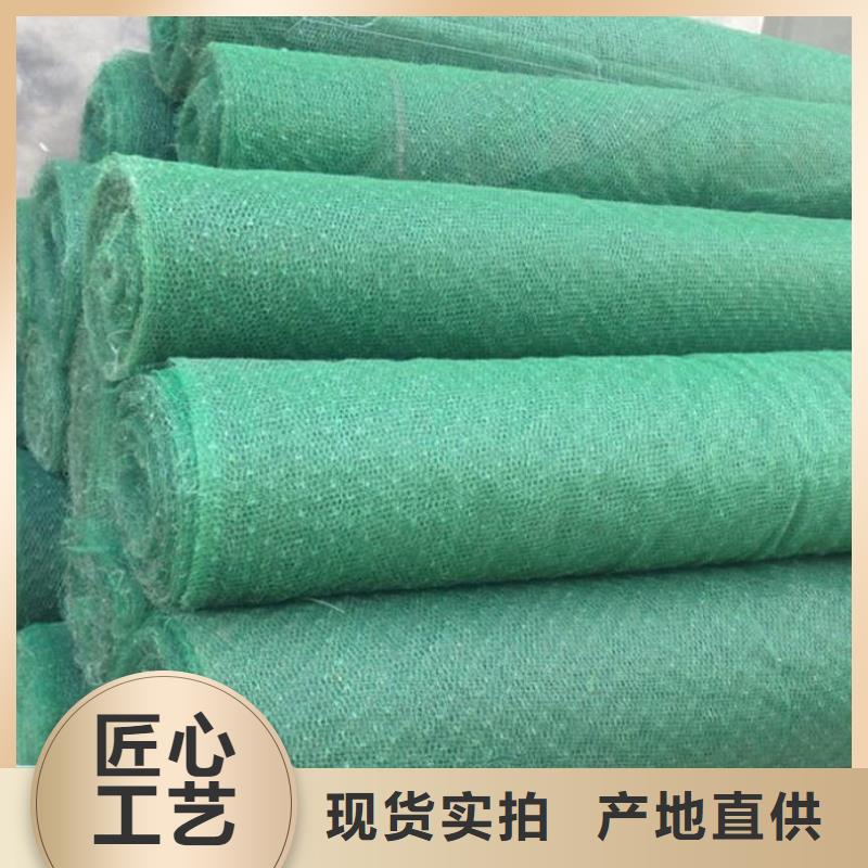 三维植被网多向塑料土工格栅实力商家