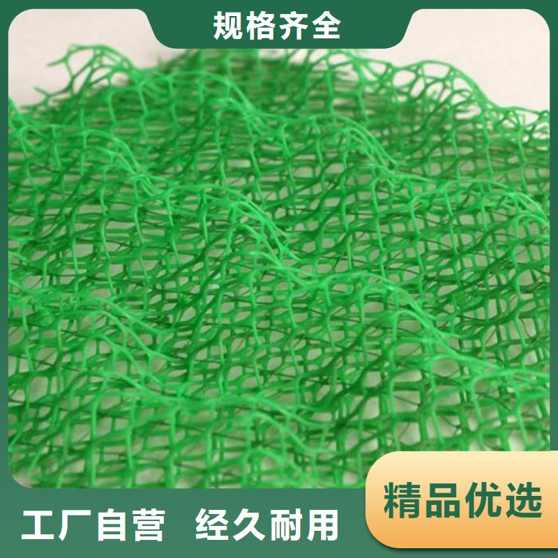 三维植被网【钢塑土工格栅厂家】助您降低采购成本