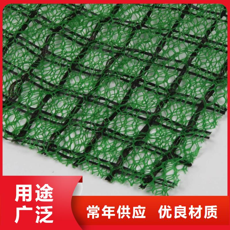 三维植被网聚丙烯双拉土工格栅海量货源