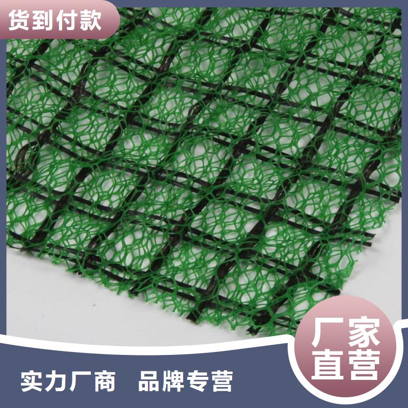 三维植被网玻璃纤维土工格栅实体厂家