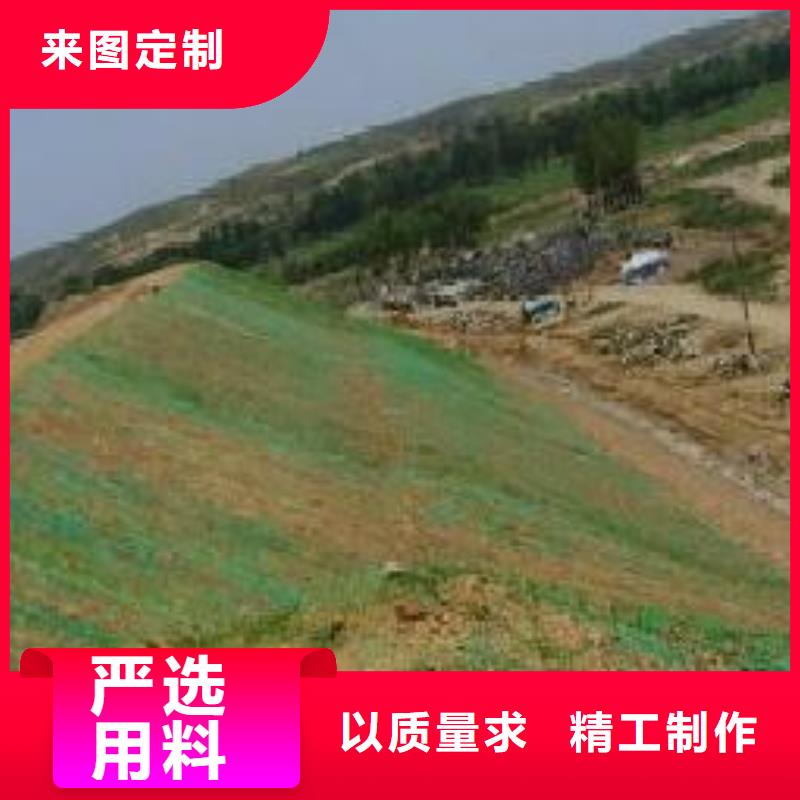 三维植被网聚丙烯双拉土工格栅海量货源
