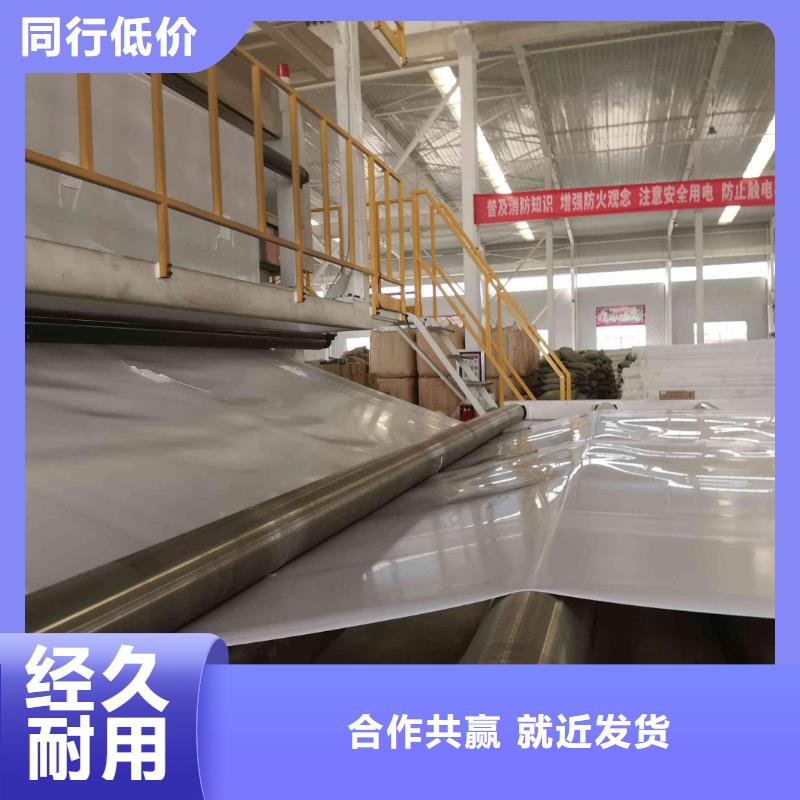 【EVA防水板】双向塑料土工格栅实体诚信经营