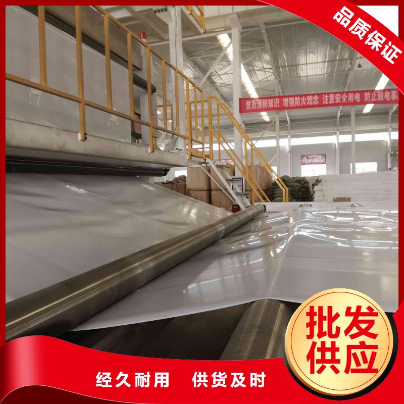 EVA防水板-钢塑土工格栅厂家产品性能